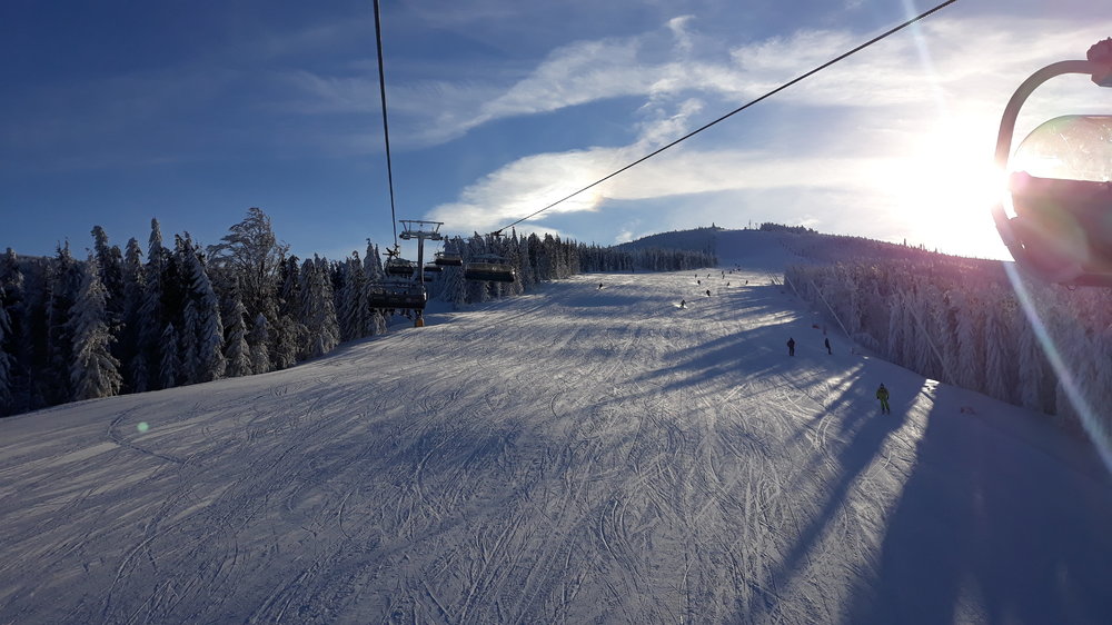 20190119_091202.thumb.jpg.eb8a8875cffb47a389468c89b5570cc9.jpg