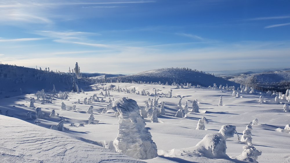 20190119_093424.jpg