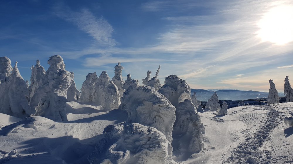 20190119_093847.jpg