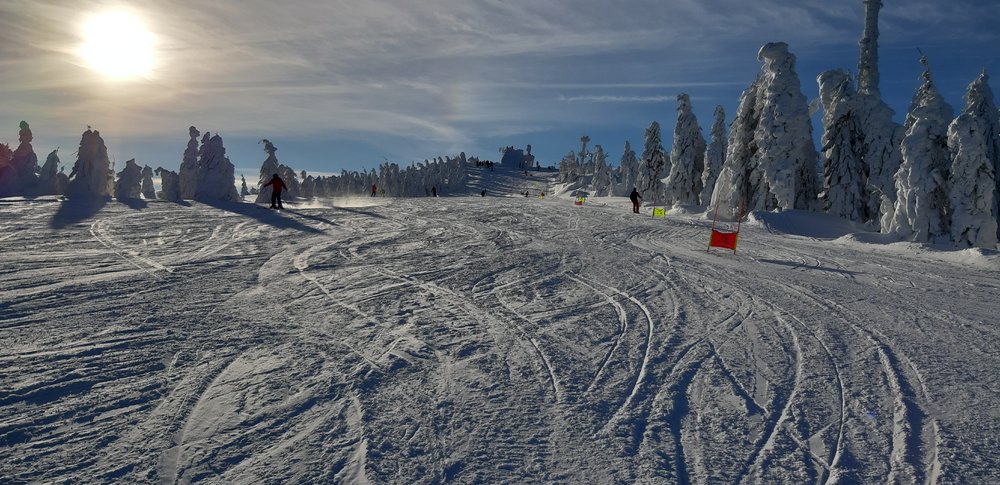 20190119_094001.jpg