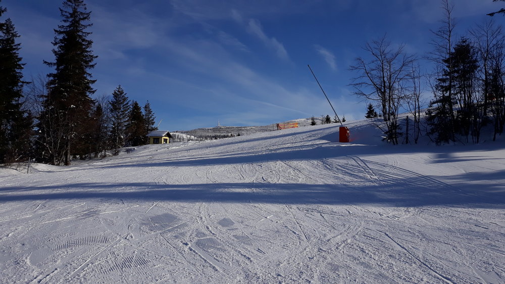 20190119_110439.thumb.jpg.58dc8e8ca5a908f7ba2c3698c333cf68.jpg