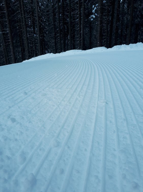 20190119_115843.thumb.jpg.784ed81e5e03691d9426161e14d17738.jpg