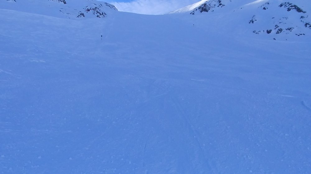 20190119_120237.jpg