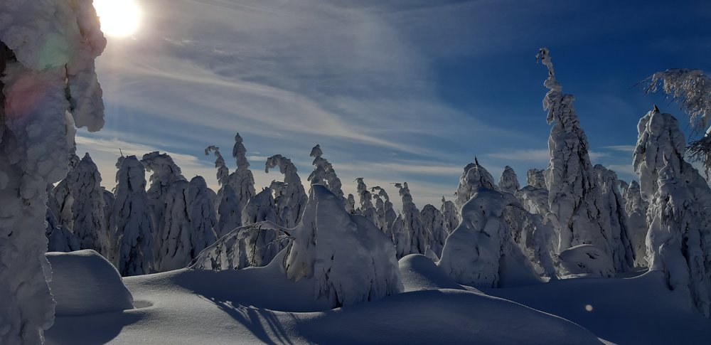 20190119_121725.jpg