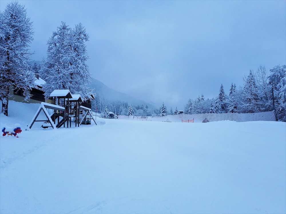 20190119_124758.thumb.jpg.f8dddb536da3b5c8da828b758e0a9a8f.jpg
