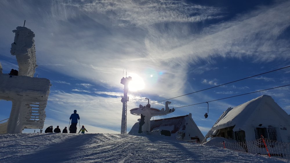20190119_125717.jpg