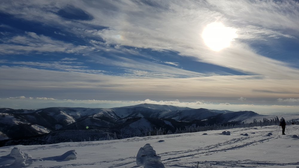 20190119_134231.jpg