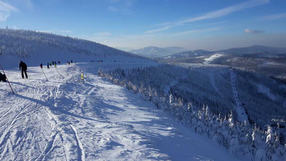 20190119_134921.thumb.jpg.ebf472298264ff13c61a00afad3dbb66.jpg