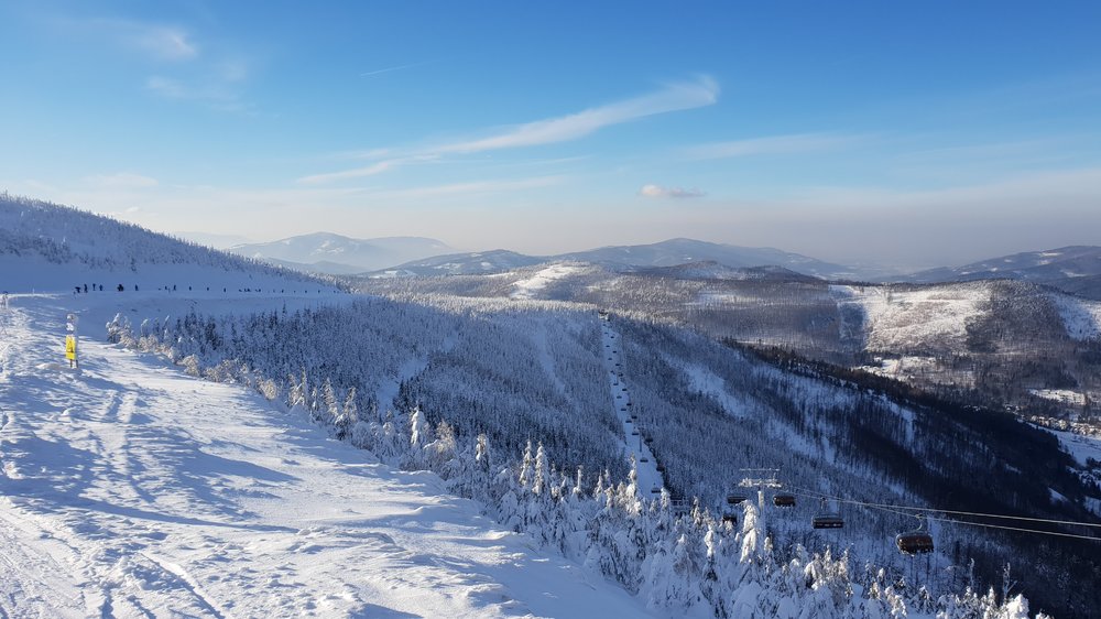 20190119_134924.jpg