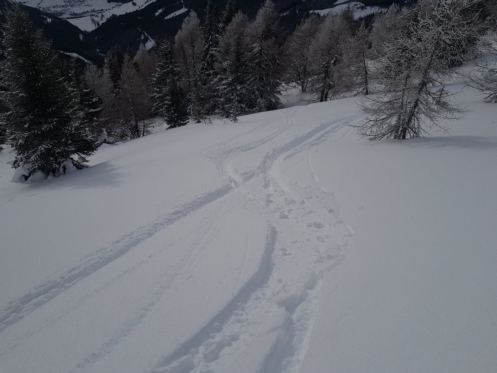 20190119_141539.jpg