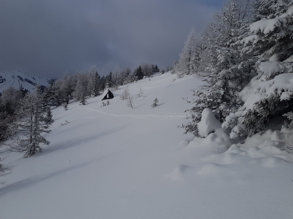 20190119_141543.jpg