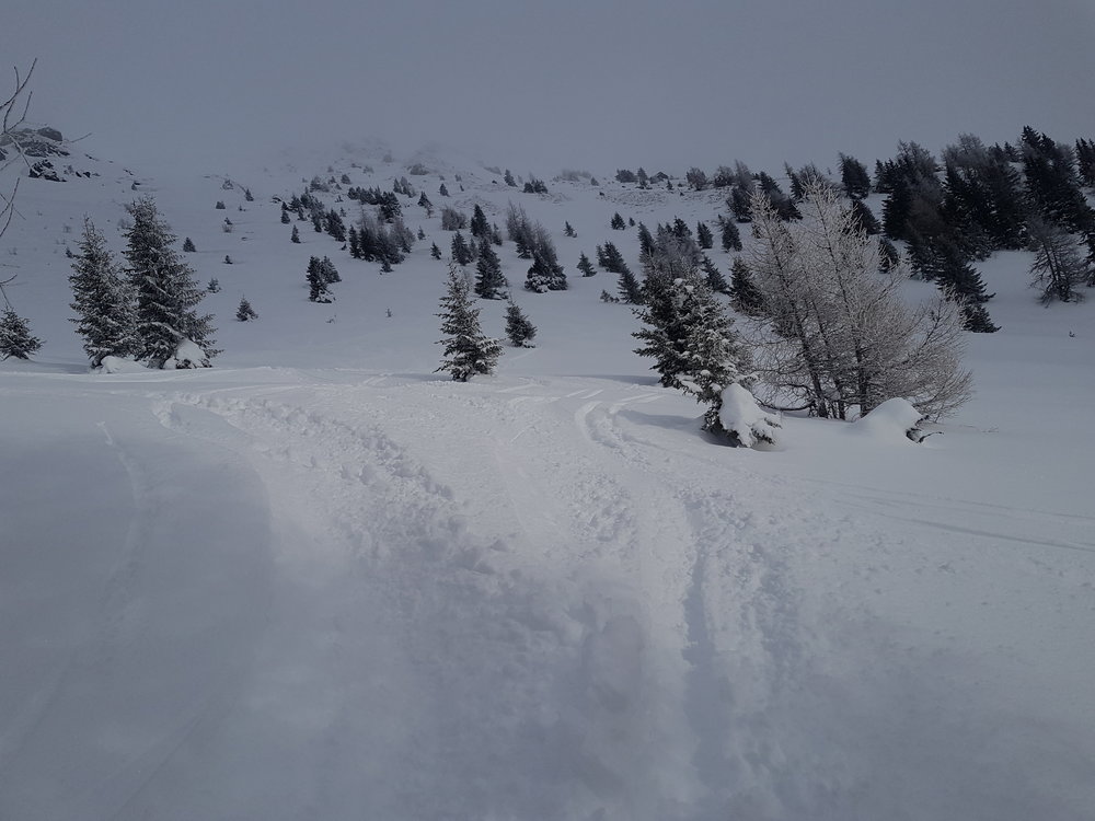 20190119_141610.jpg