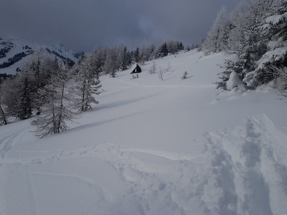 20190119_141615.jpg
