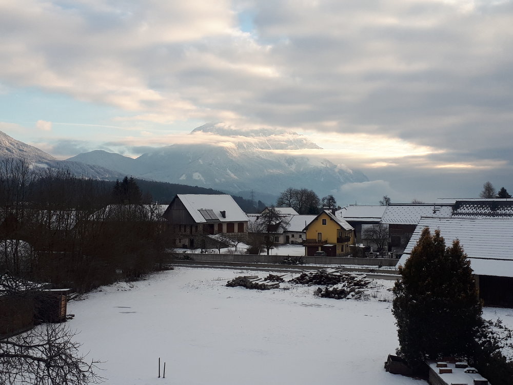 20190120_084307.thumb.jpg.328a619f8cda47751e10389697efa133.jpg