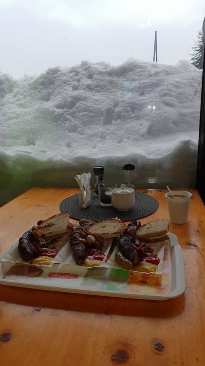20190120_102808.jpg