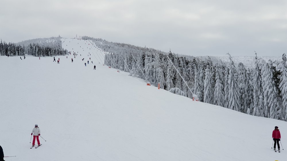 20190120_112905.jpg
