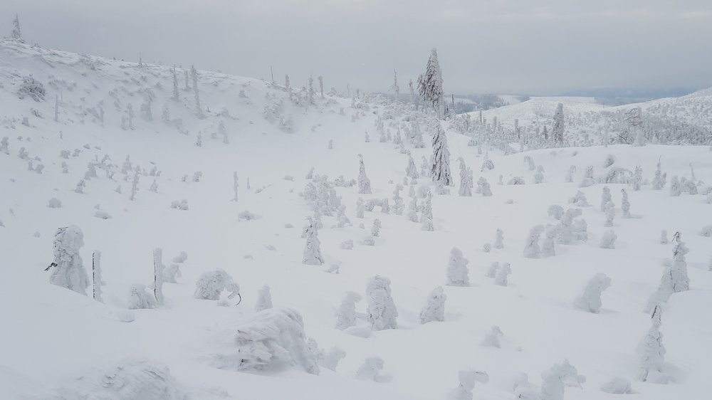 20190120_115616.jpg