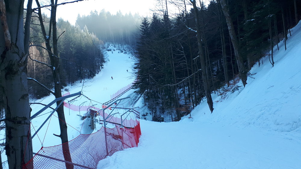 20190121_124942.thumb.jpg.262f13cb713013501b1511d6537c5735.jpg