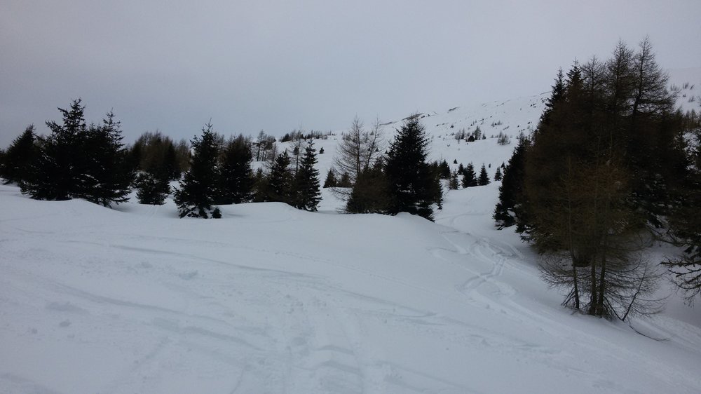 20190121_161033.thumb.jpg.755496445f632983abcc5d1882363de6.jpg