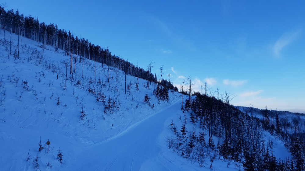 20190122_083735.jpg