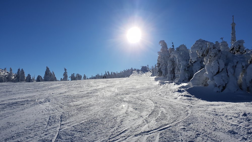 20190122_111033.jpg