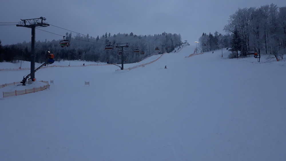20190124_110304.thumb.jpg.9b159abe74c7083460d7a148f8b99793.jpg