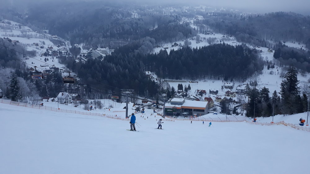 20190124_111914.thumb.jpg.ae94a9388141c59ce8035b99d318e2cd.jpg