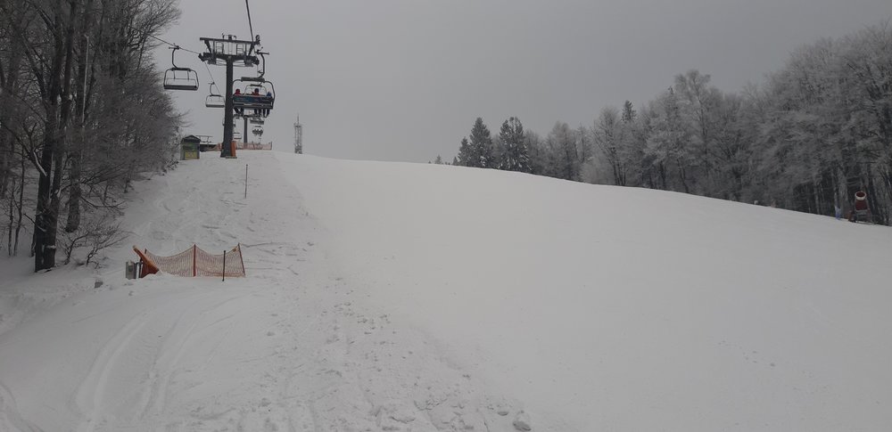 20190124_133443.jpg