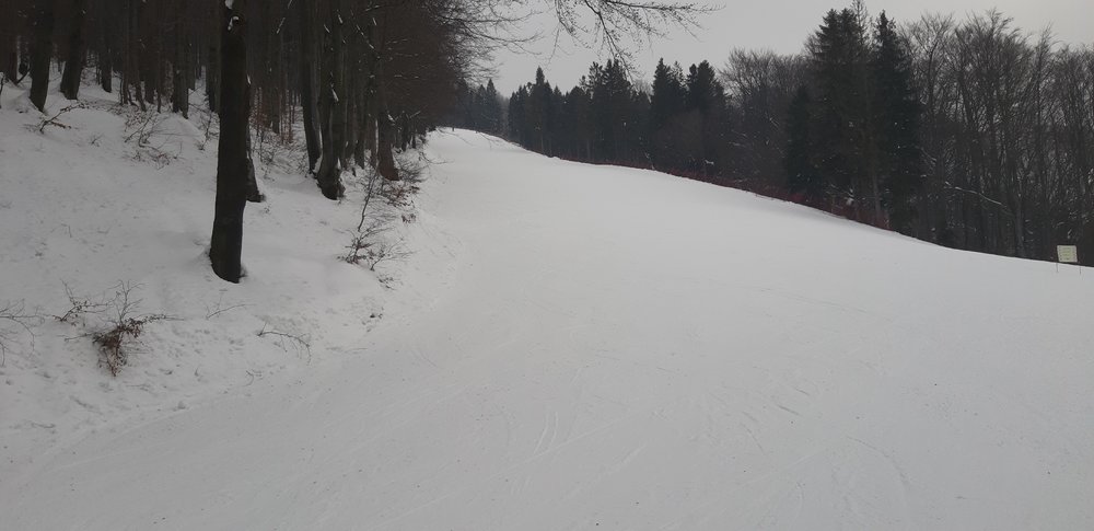 20190124_142202.jpg