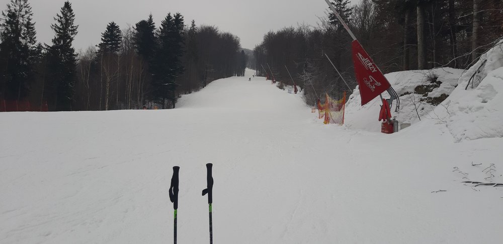 20190124_144350.jpg