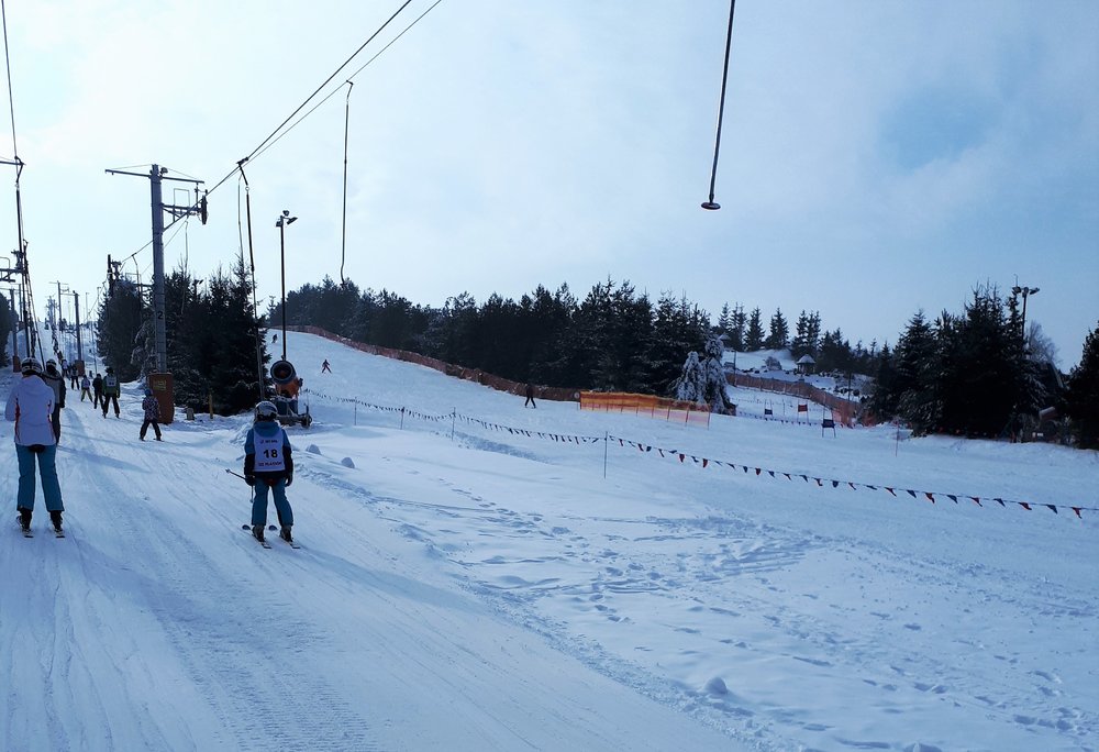 20190126_114239.jpg