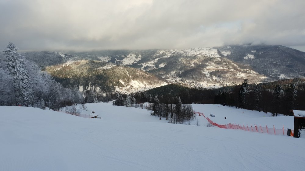 20190127_085624.jpg
