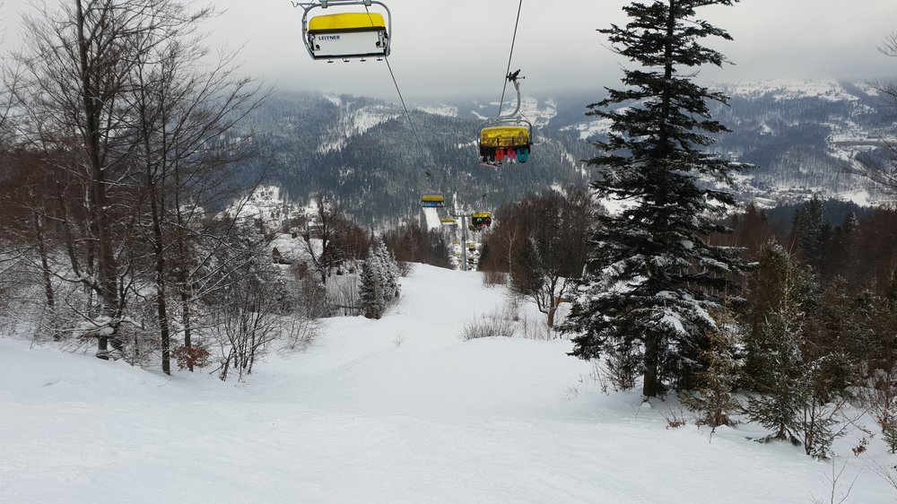 20190127_101459.jpg