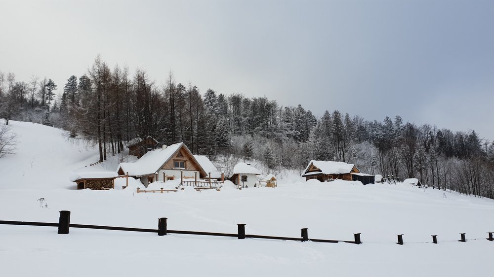 20190127_101634.jpg