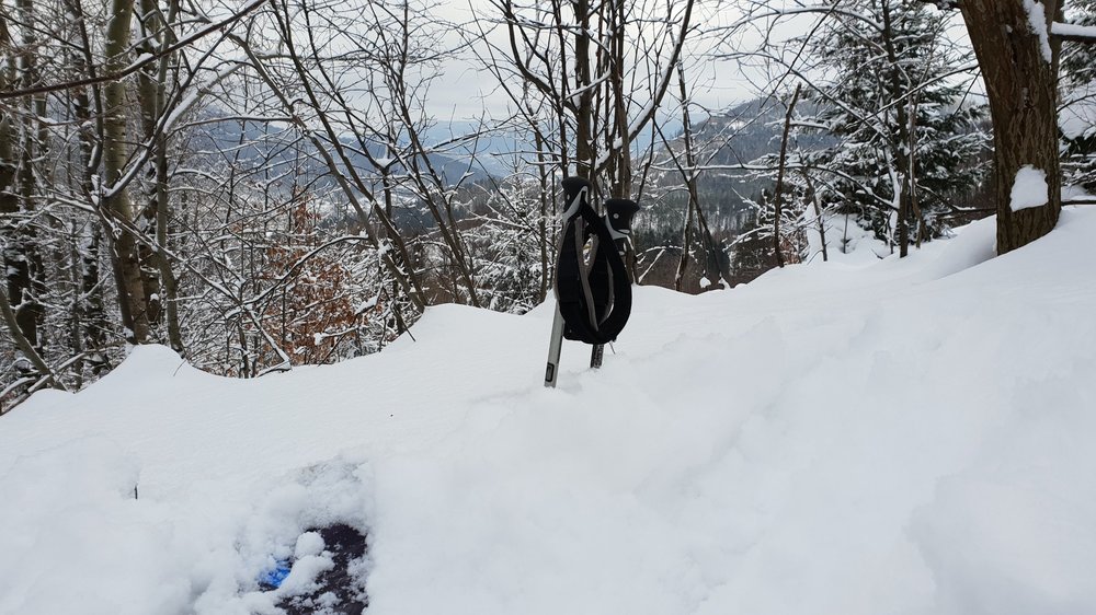 20190127_101826.jpg