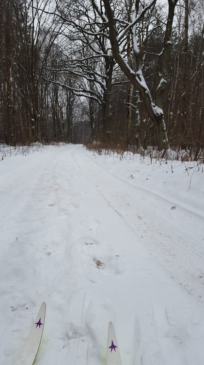 20190127_143931.thumb.jpg.e1704396a983edeef017081d60f21cb6.jpg