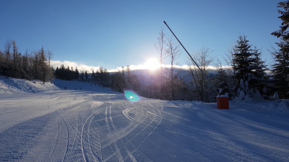 20190130_085246.jpg