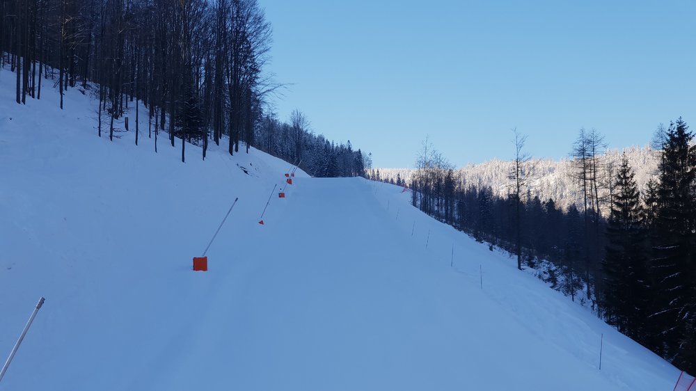 20190130_085623.jpg