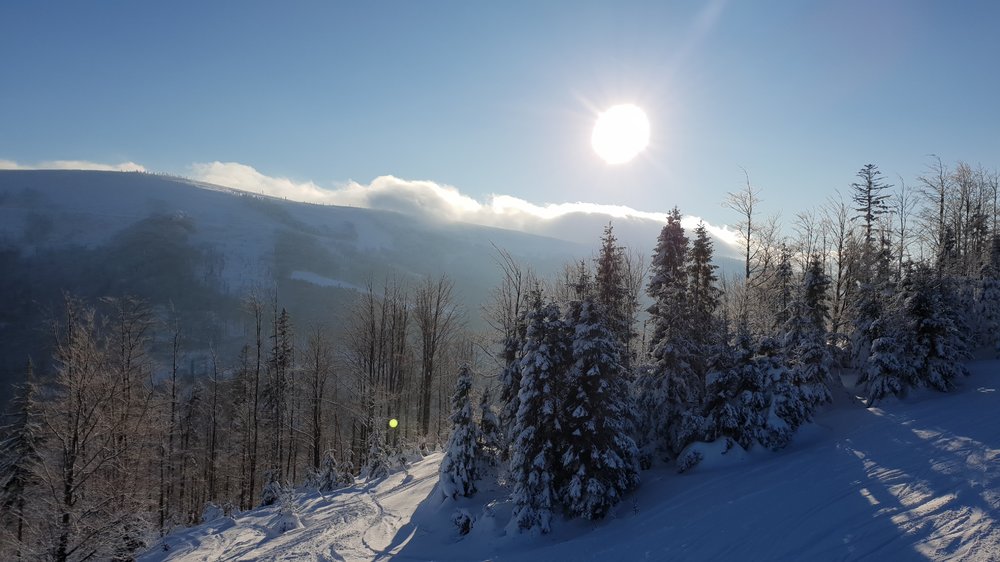 20190130_085956.jpg