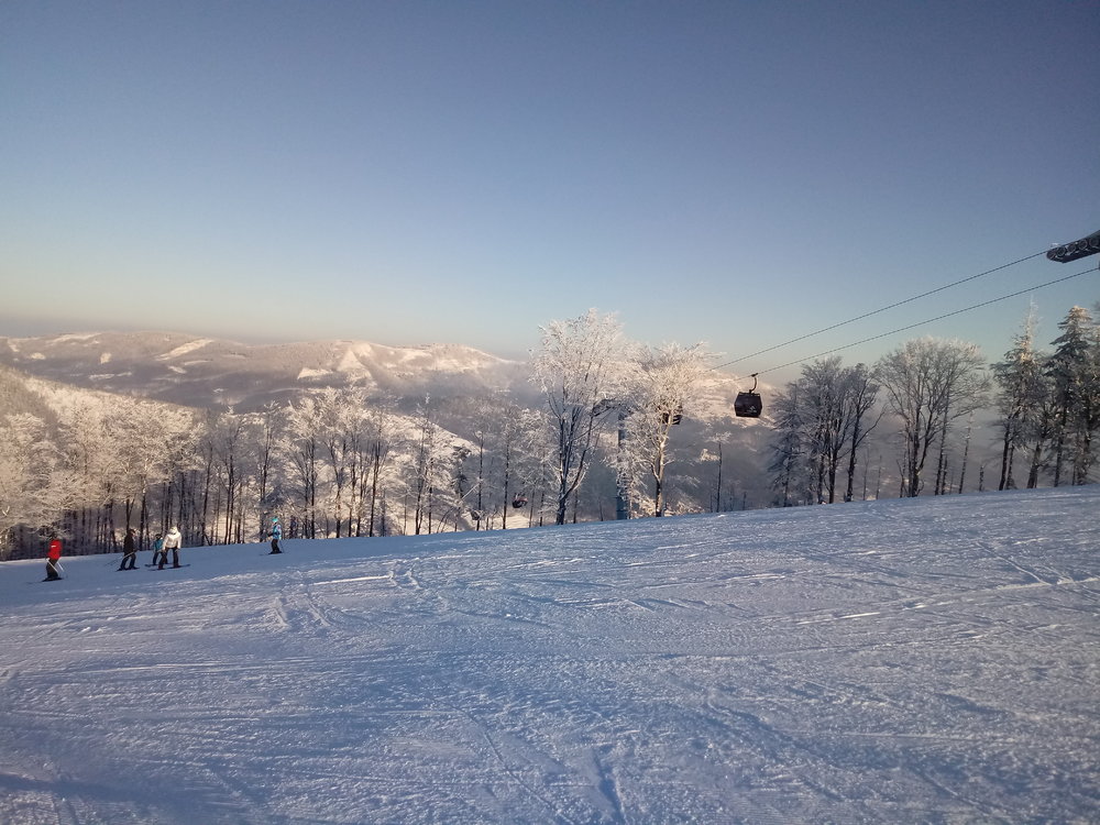 20190130_090930.thumb.jpg.51d02c44b1096a6db99abb67f45fe8af.jpg