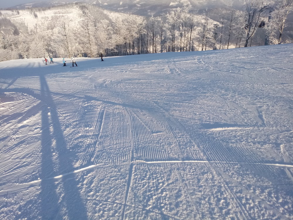 20190130_090939.thumb.jpg.038987cfc568bba7970e744b783676af.jpg