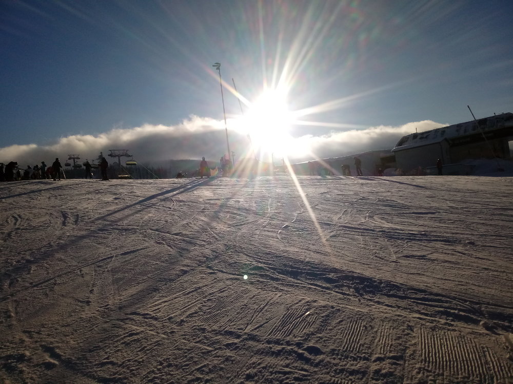 20190130_090955.thumb.jpg.734db59caa9247fd8518fb72581eb19e.jpg