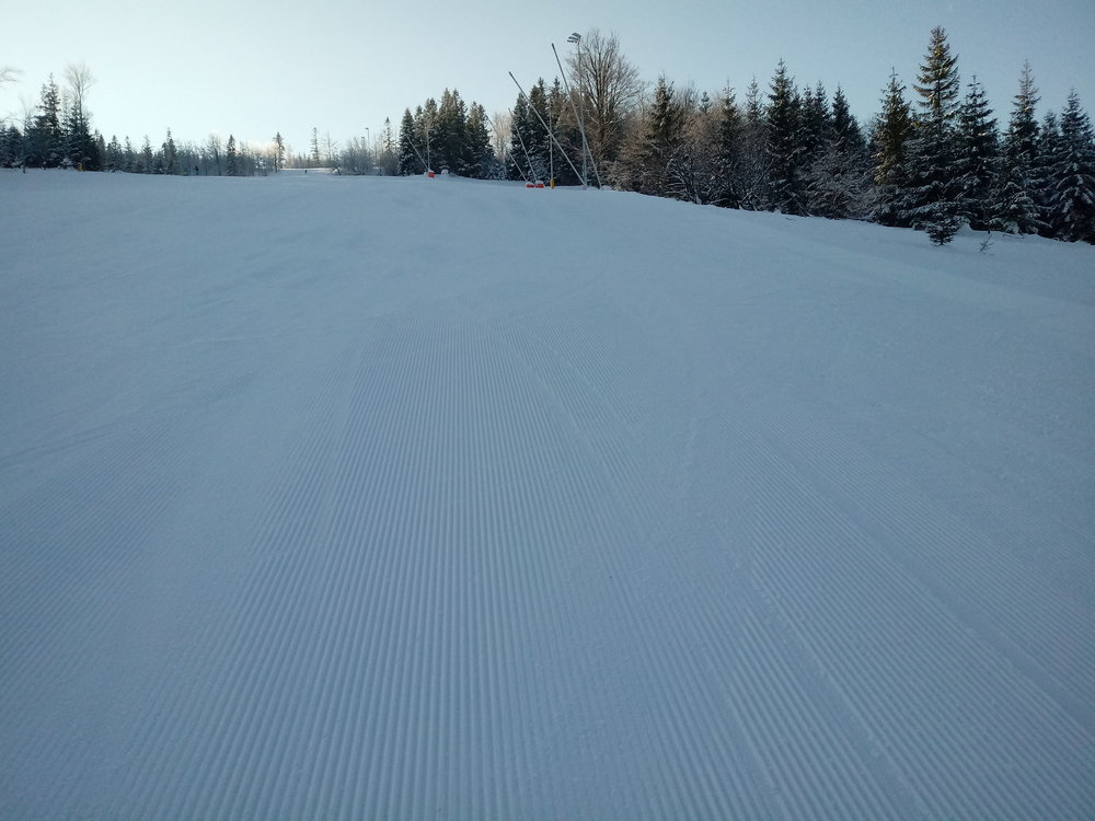 20190130_091303.thumb.jpg.45809c412b39d5a15628537c7a098948.jpg