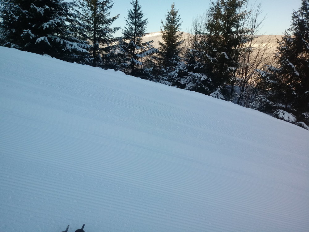20190130_091404.thumb.jpg.95703225cfe4e148290da67ad489fcb4.jpg