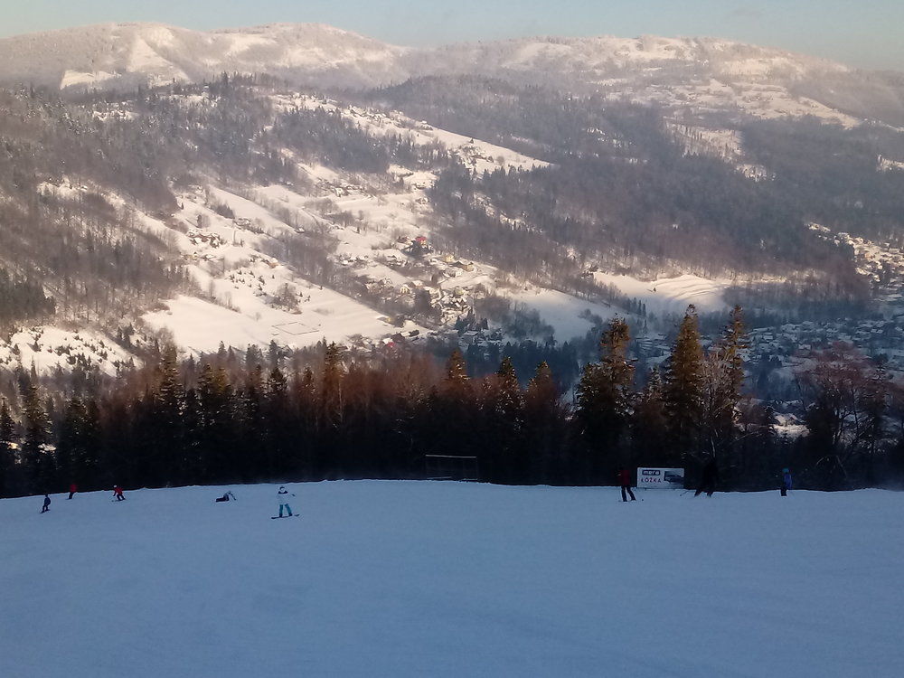 20190130_091519.thumb.jpg.3e4b6b3dfa25553a7d1c1047af099084.jpg
