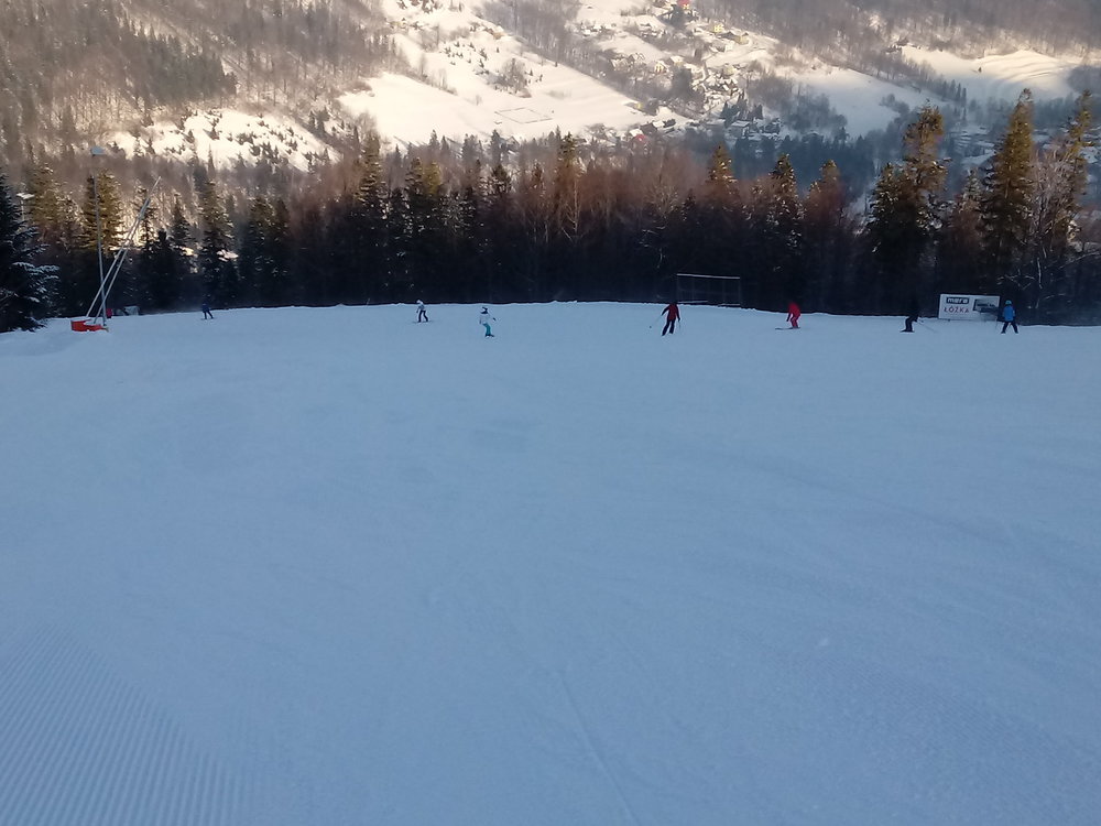 20190130_091522.thumb.jpg.65159b59c26be326d8364060cb9aa390.jpg