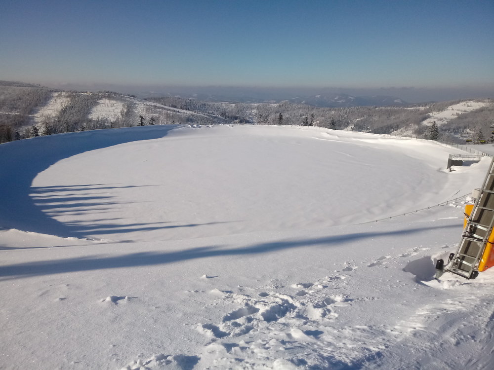 20190130_095046.thumb.jpg.72949ebdff6b92a01afe42e1c7adac44.jpg