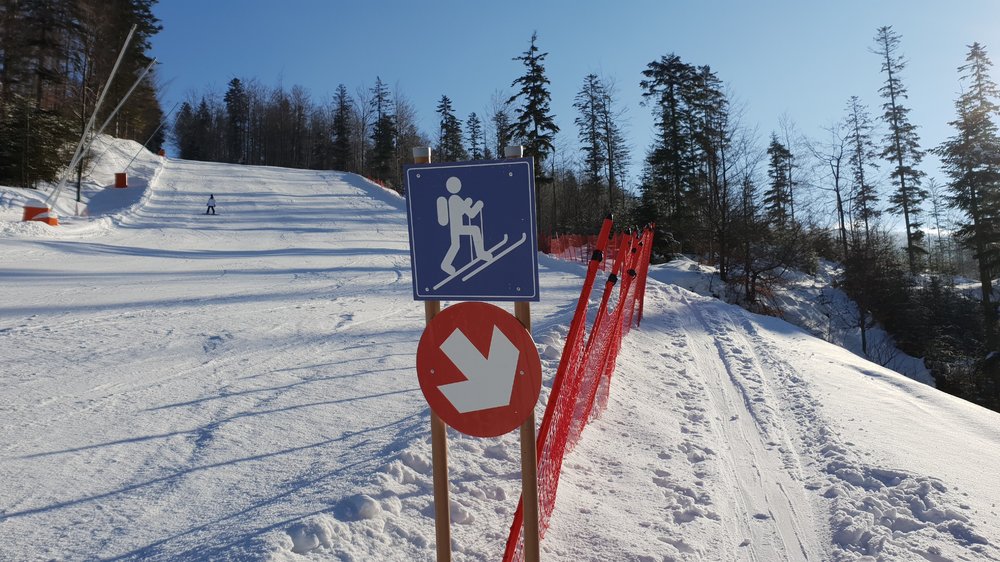 20190130_100426.jpg