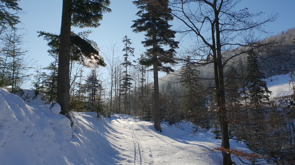 20190130_100911.jpg