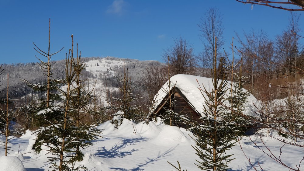 20190130_103051.jpg